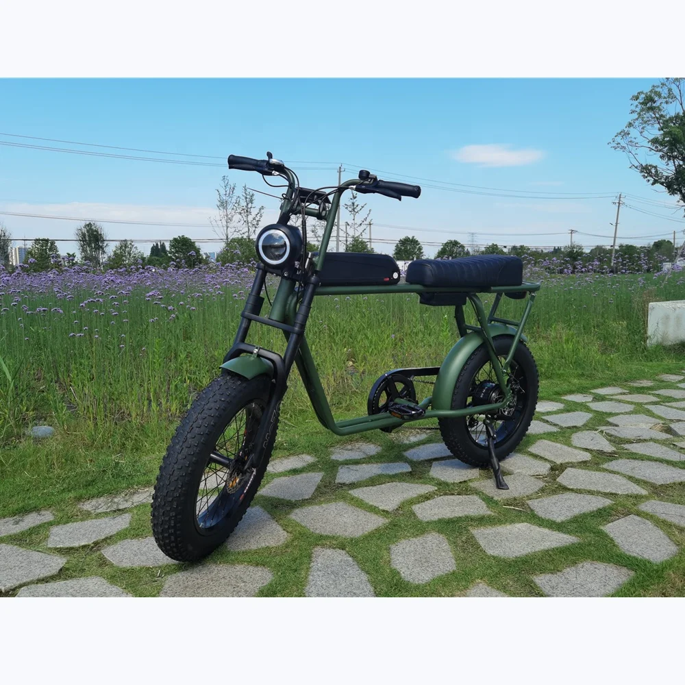 Super 20 Inch Retro Ebike - 750W All Terrain Electric Bike