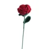 Rose rouge