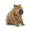 Clyde capybara-22 cm-sans étiquette