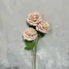 Cinnamon color