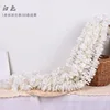 Raya de orquídea, raya blanca.