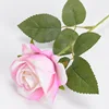 สีชมพู