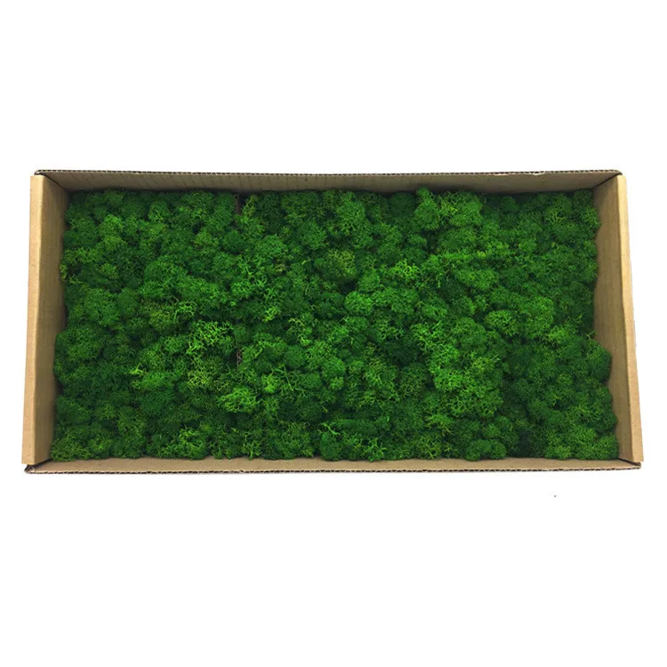 Natural Norwegian Reindeer Moss Preserved Dried Craft Flower