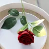 Rose Madder