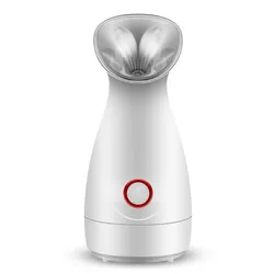 Facial Steamer