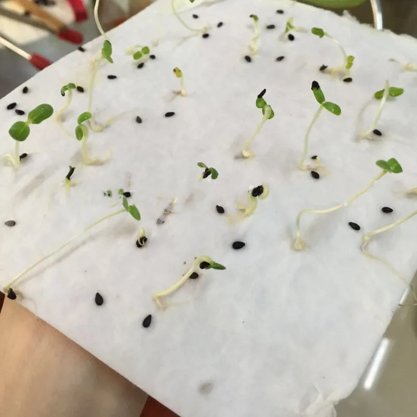 Paper seed tag 12.jpg