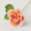 Rosa francese sfumato rosa coreano