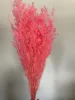 rosa brillante