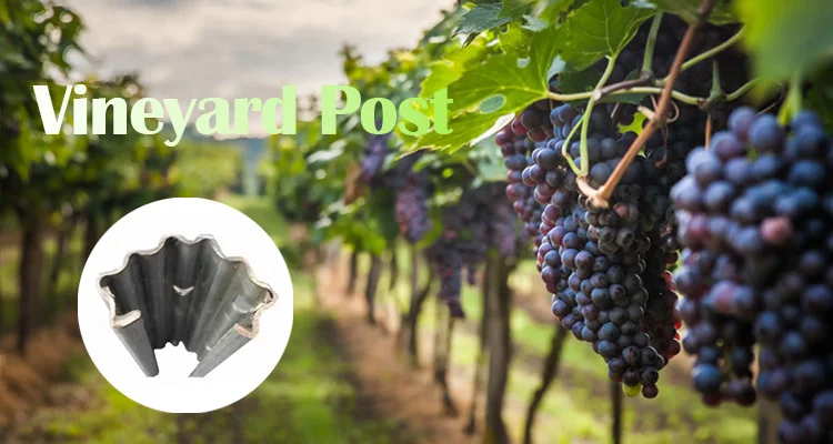 New Design Premium vineyard post manufacture