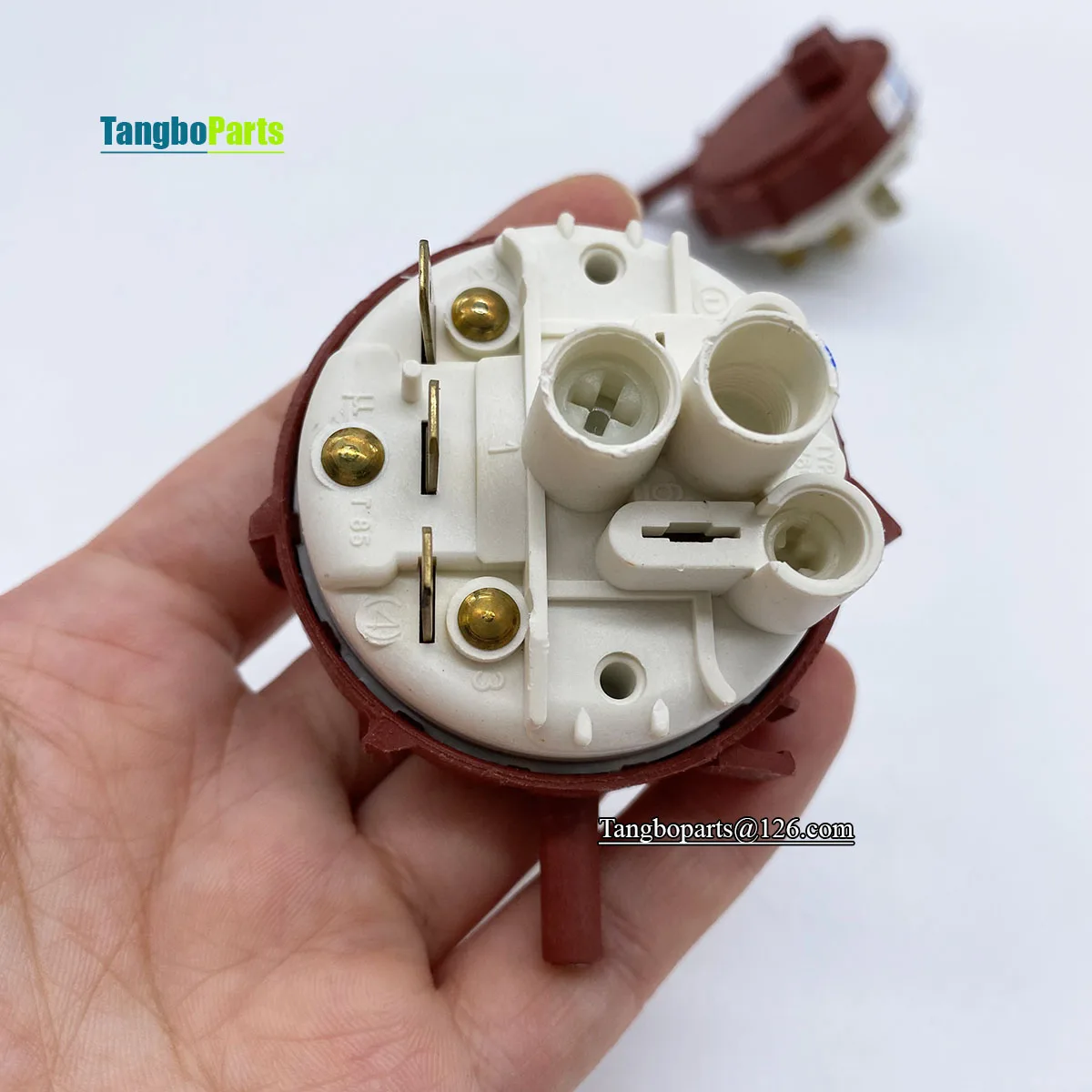 Tangboparts 315/18-A02 37610187 Water Level Switch for