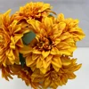 Giallo dorato