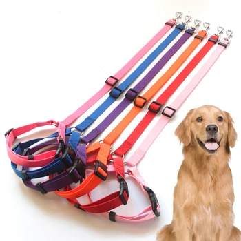OEM Manufacturing Nylon Jacquard Dog Collar and Leash