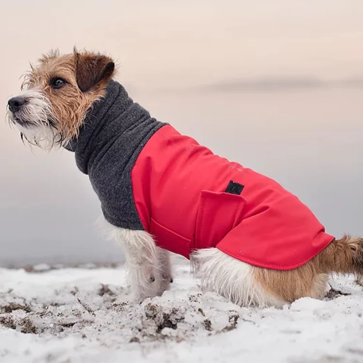 Are Dog Clothes Bad For Dogs