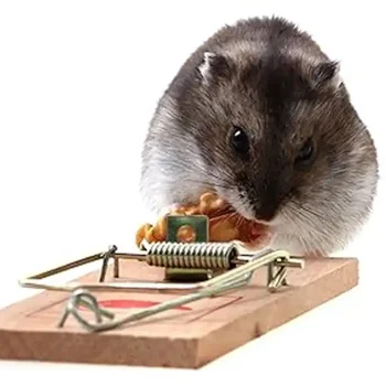 Reusable Wooden Mice Mouse Trap Snap Bait Mice Home Garden Supplies Mouse Killer Pest Control Mousetrap