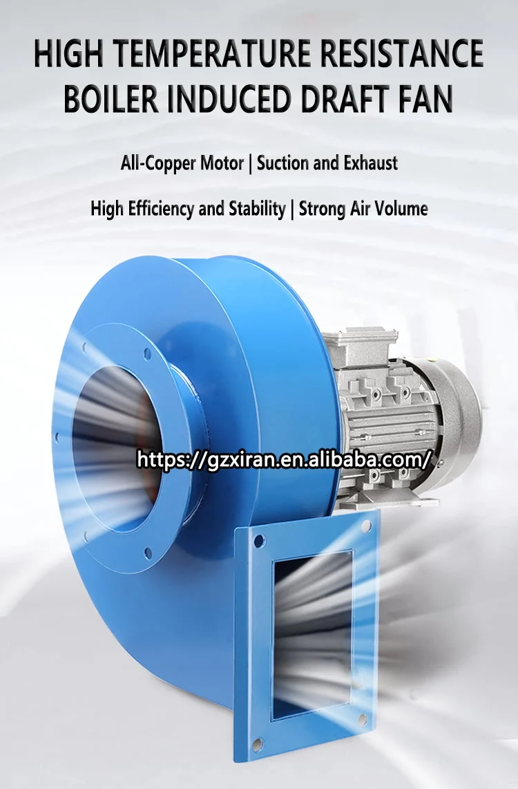 Rattling Noise Boiler Making Noise Central Heating Boiler Fan