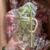 05  green
