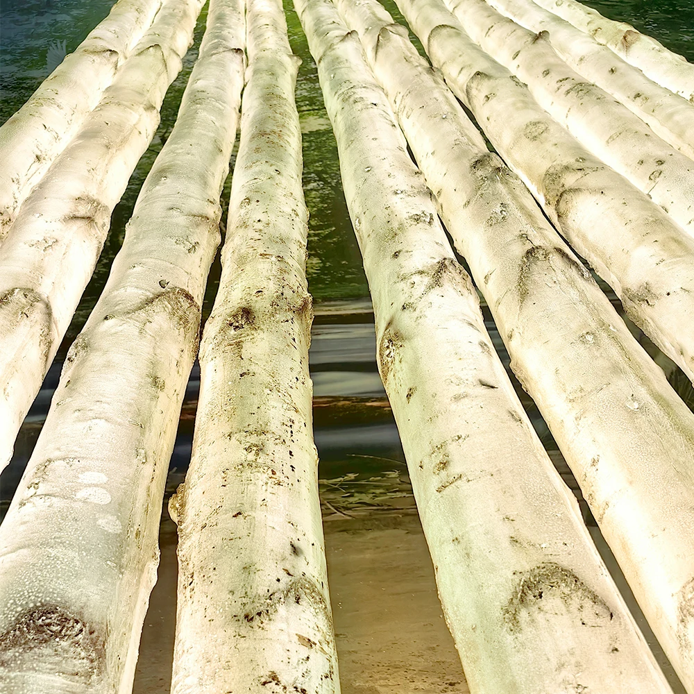 Glowing Birch Artificial Tree Trunks Light Fiberglass Simulation 2m Height Birch Tree Light for Shop Garden Landscape Pathway
