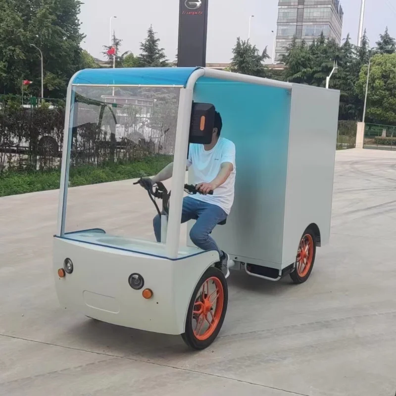 Custom Electric Cargo Bike Power and Payload Capacity