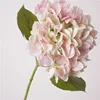 Huella de mano coral mágico rosa hortensia