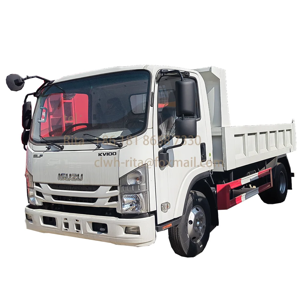 Caminhão Coletor de Lixo Personalizado Euro 3 de Emissão 4*2 6*4 8*4 Simples Ponte Tipo Caçamba Basculante