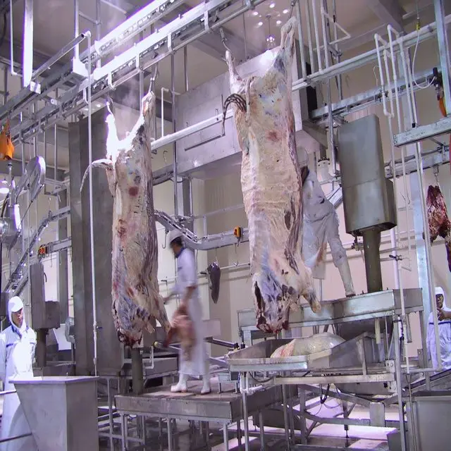 Halal slaughtering equipment, cattle viscera synchronous quarantine system, suitable for cattle slaughterhouses
