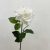 สีขาว