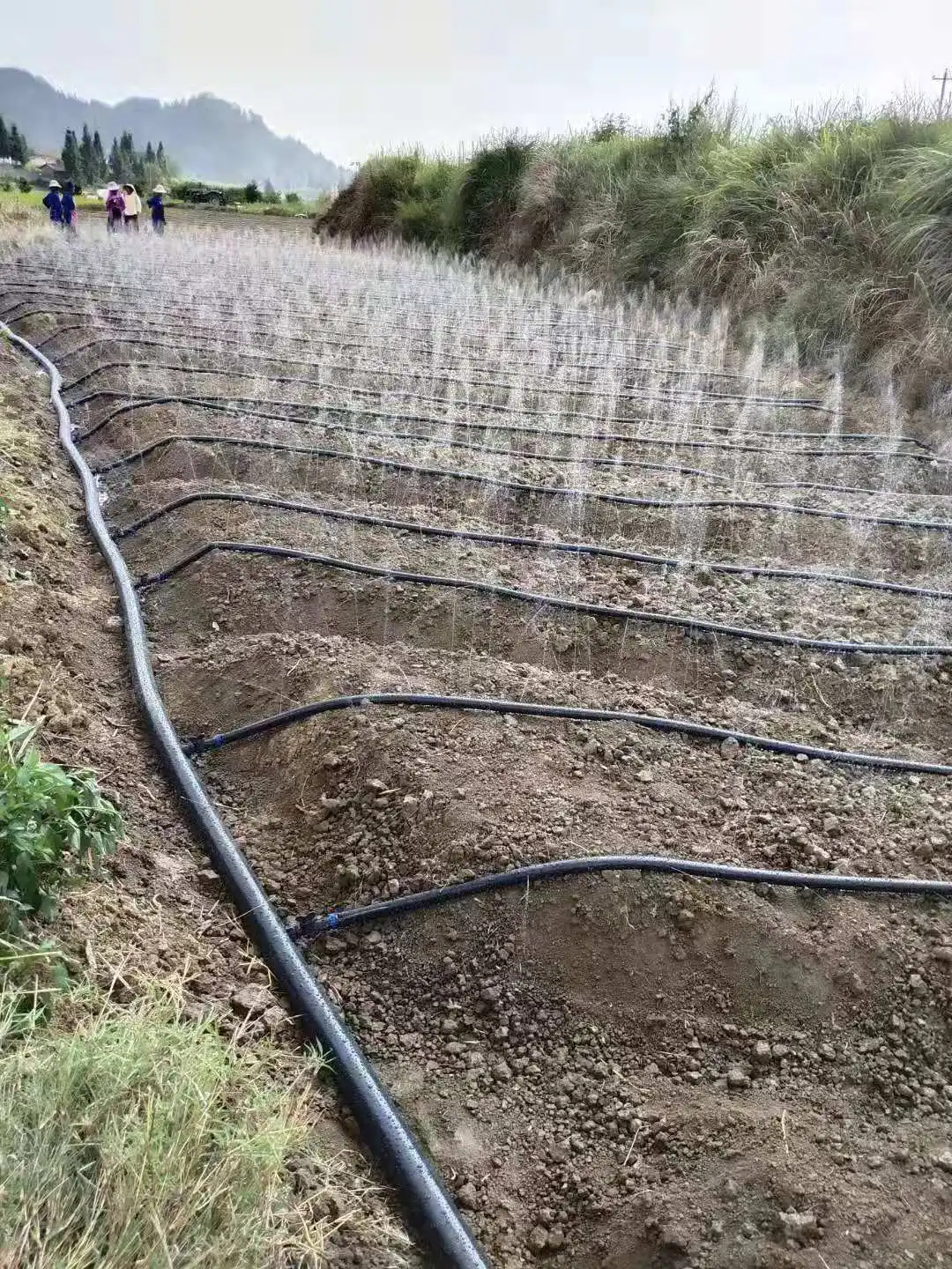 Tuyau de micro d'argile agricole en PE, tuyau d'irrigation pour verger,  tube d'irrigation goutte à goutte pour serre, vente en gros, 500 m/rouleau,  16mm - AliExpress