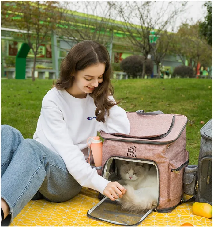 cat backpack for two cats