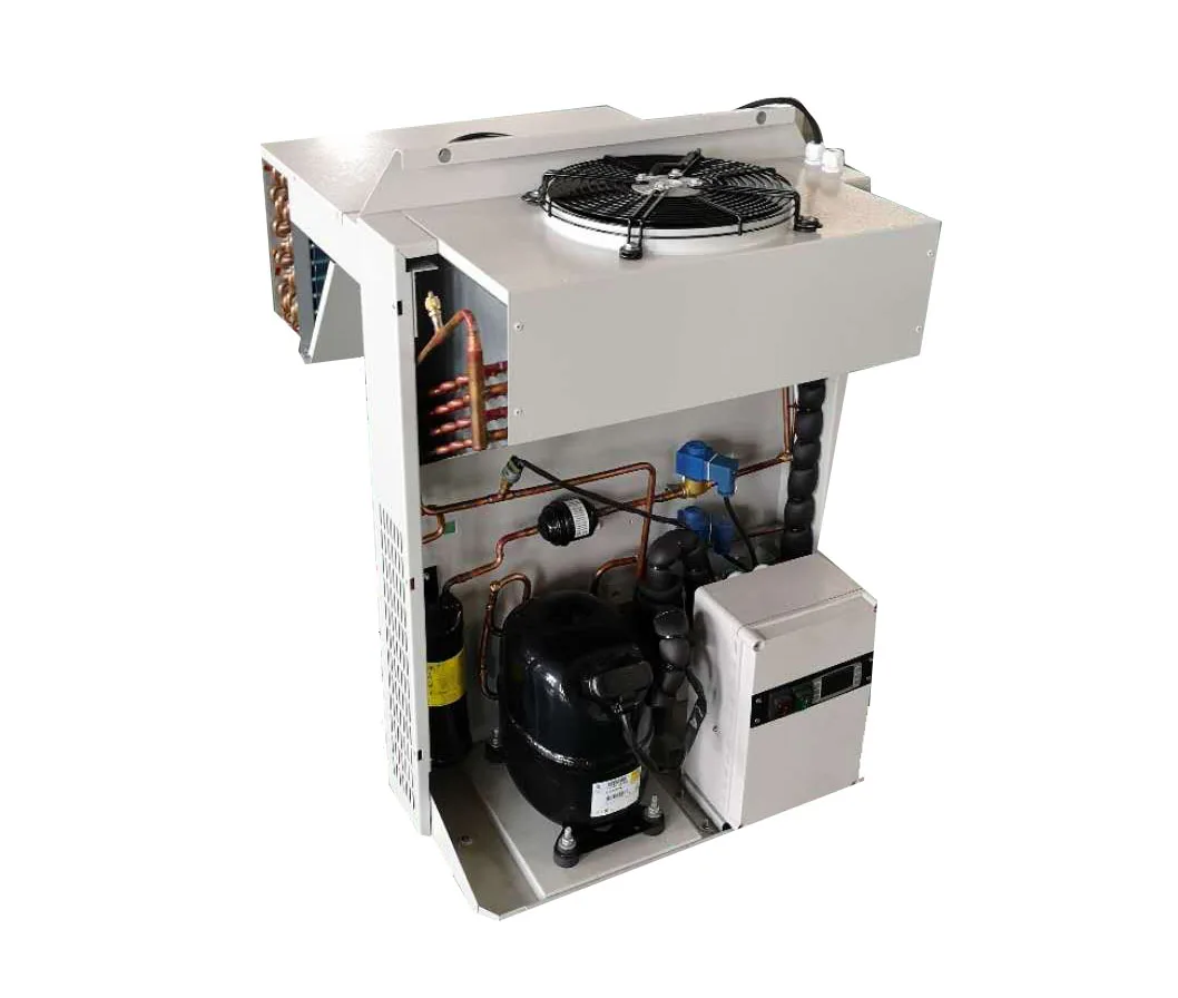 Simple Installation Wall Mounted Monoblock Condensing Refrigeration Unit