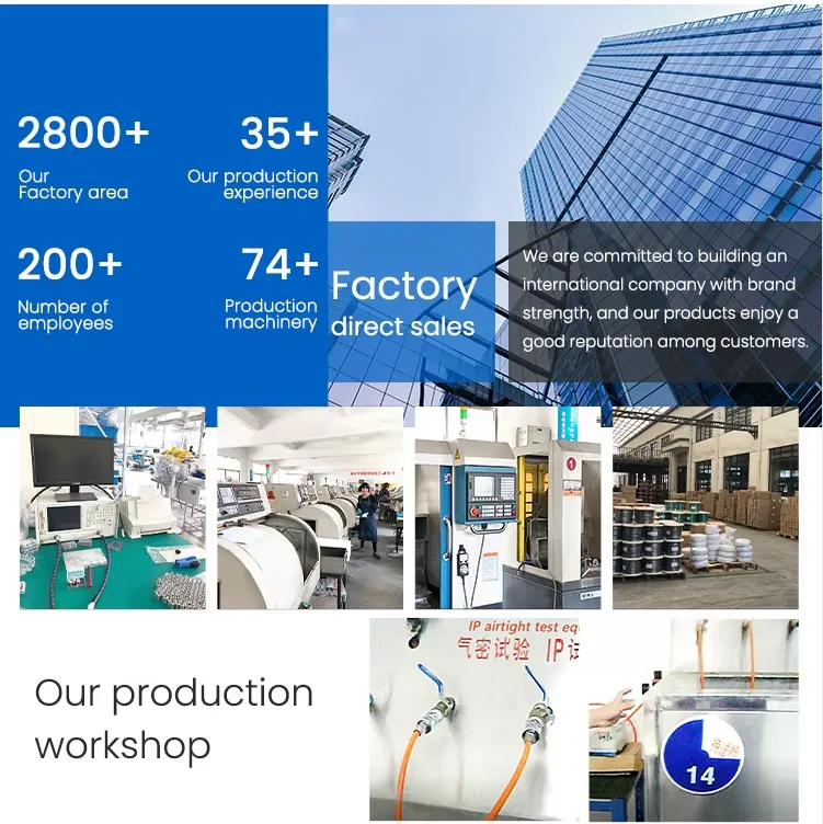 Company overview