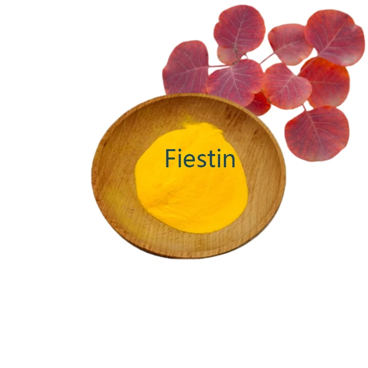 FIESTIN2.jpg