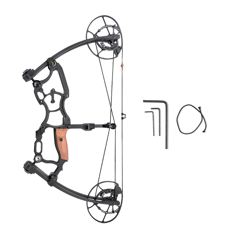 Archery Compound Bows Arrow Hunting Adjustable Draw Weight Compound Bow Shooting Steel Ball and Arrow Dual Purpose for Hunting