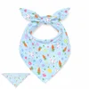 Rabbit, carrot, triangular scarf