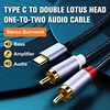 Black-type-c to 2rca