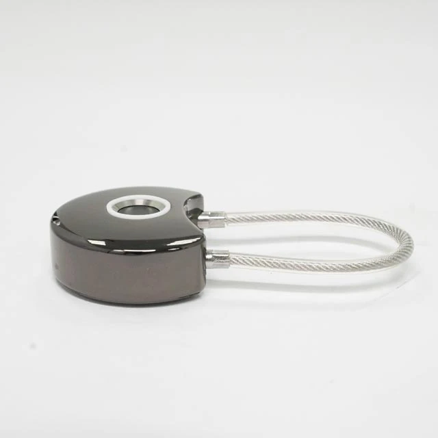diary padlock