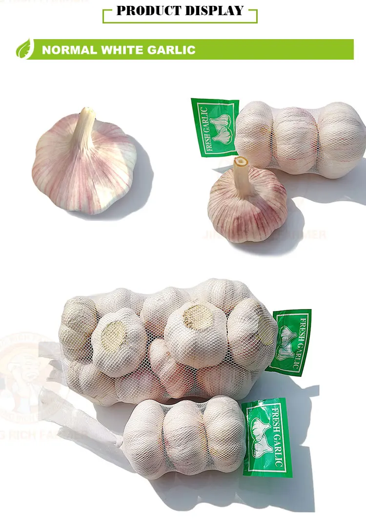 Fresh garlic.jpg