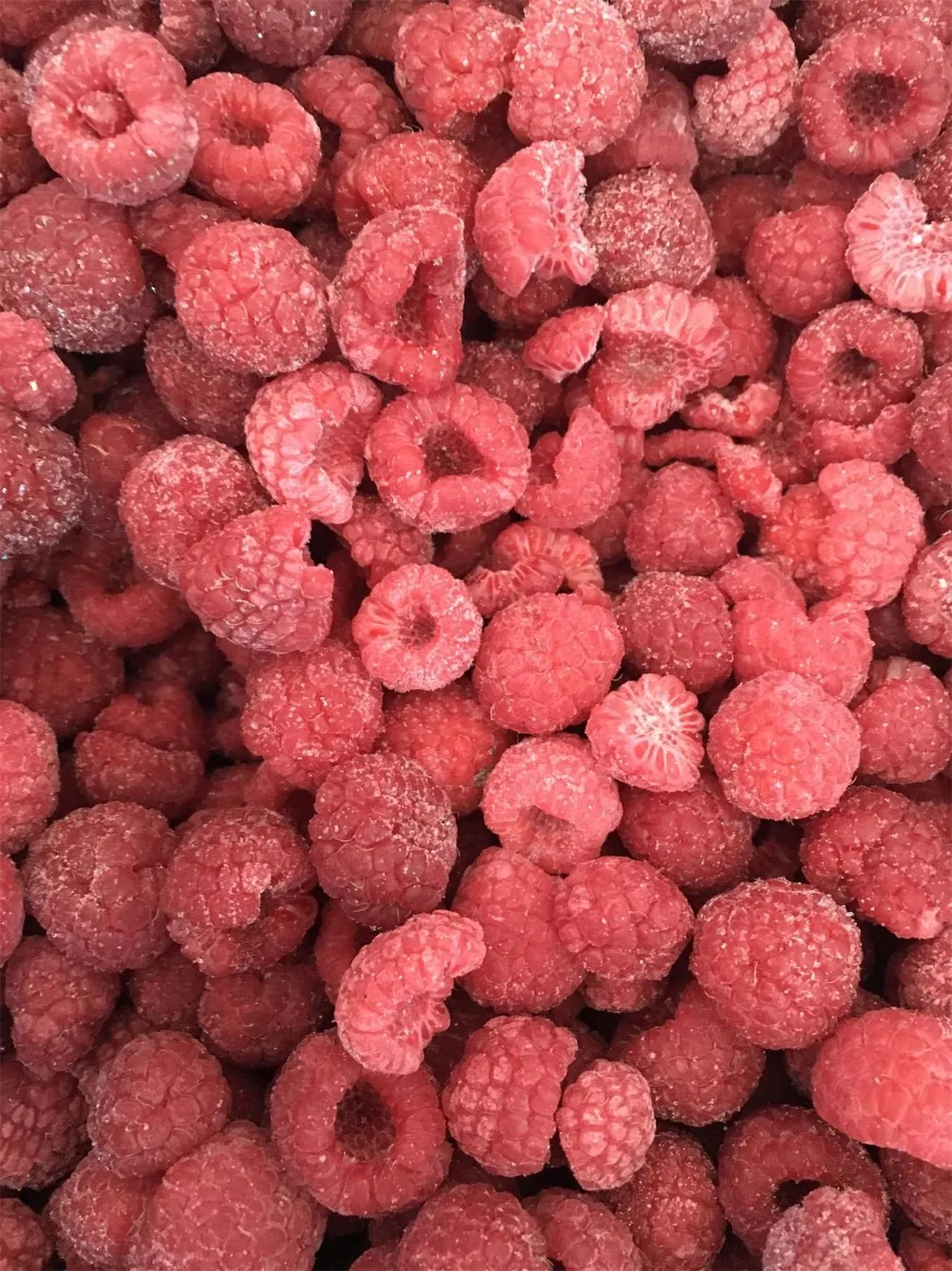 Hot Selling IQF Frozen Raspberry Whole Fruits Good Price Bulk Packaging Durian Type-Freshly Picked and Frozen at Peak Ripeness