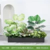 hc-Y80-29 es adecuado para jardineras de 80 cm.