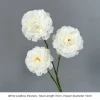 White Leafless Peonies