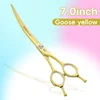 7.0 yellow