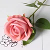 #7 Pink
