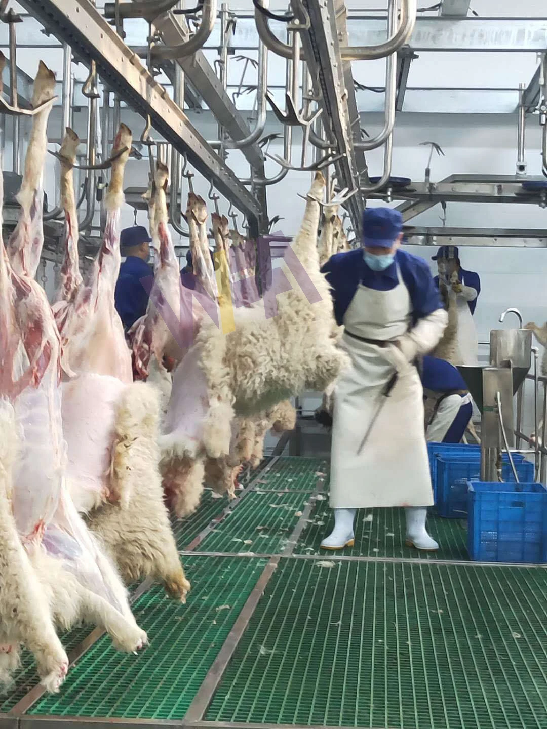 Halal Slaughter House Line Lamb Slaughtering With Mutton Meat Processing for Sheep Abattoir