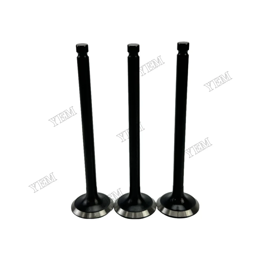 Exhaust Valve Fit for Mitsubishi S3L Engine 2