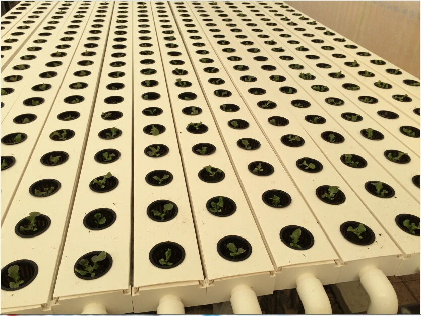 gardyn hydroponic system