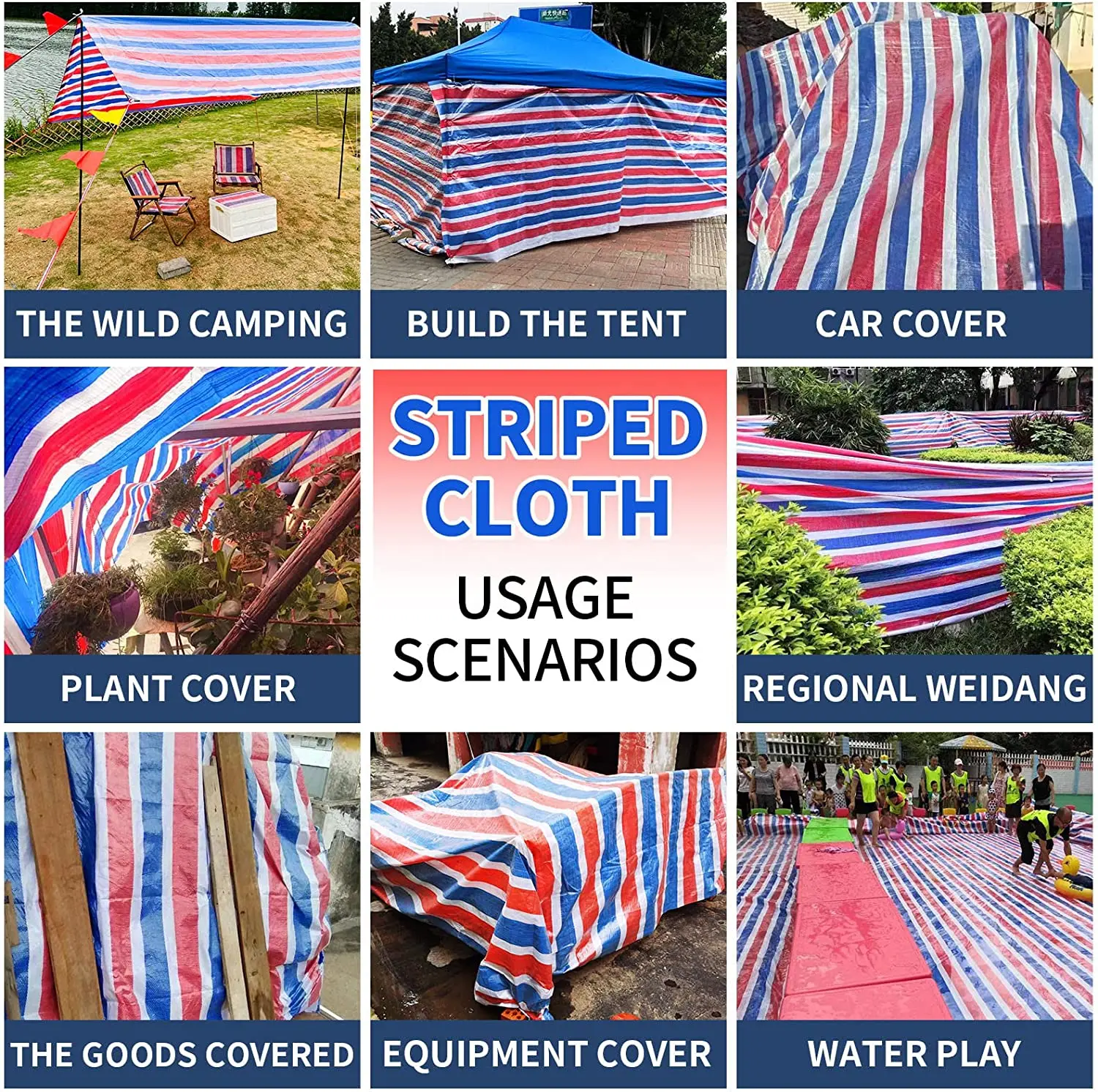 Tarp