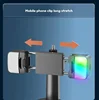 2 Fill Light