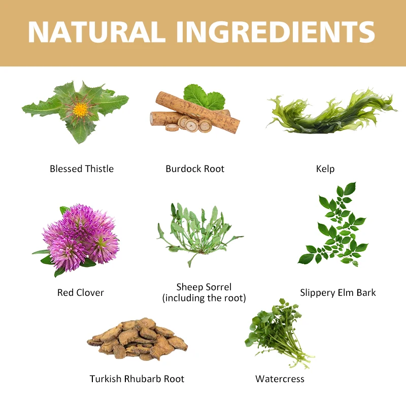Private Labels Natural Organic Chinese Herbs ESSIAC Herbal Tea Burdock Tea Red Clover Flavored Tea
