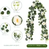 Eucalipto Rattan A (60 con flores)