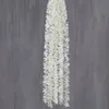 One meter long, milky white orchid clusters
