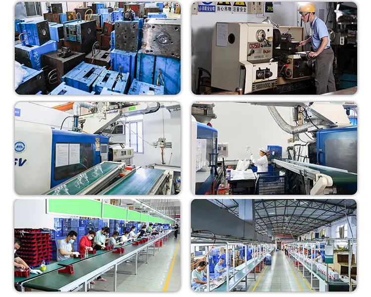 Guangzhou Tianyuehua International Trading Co., Ltd. 2